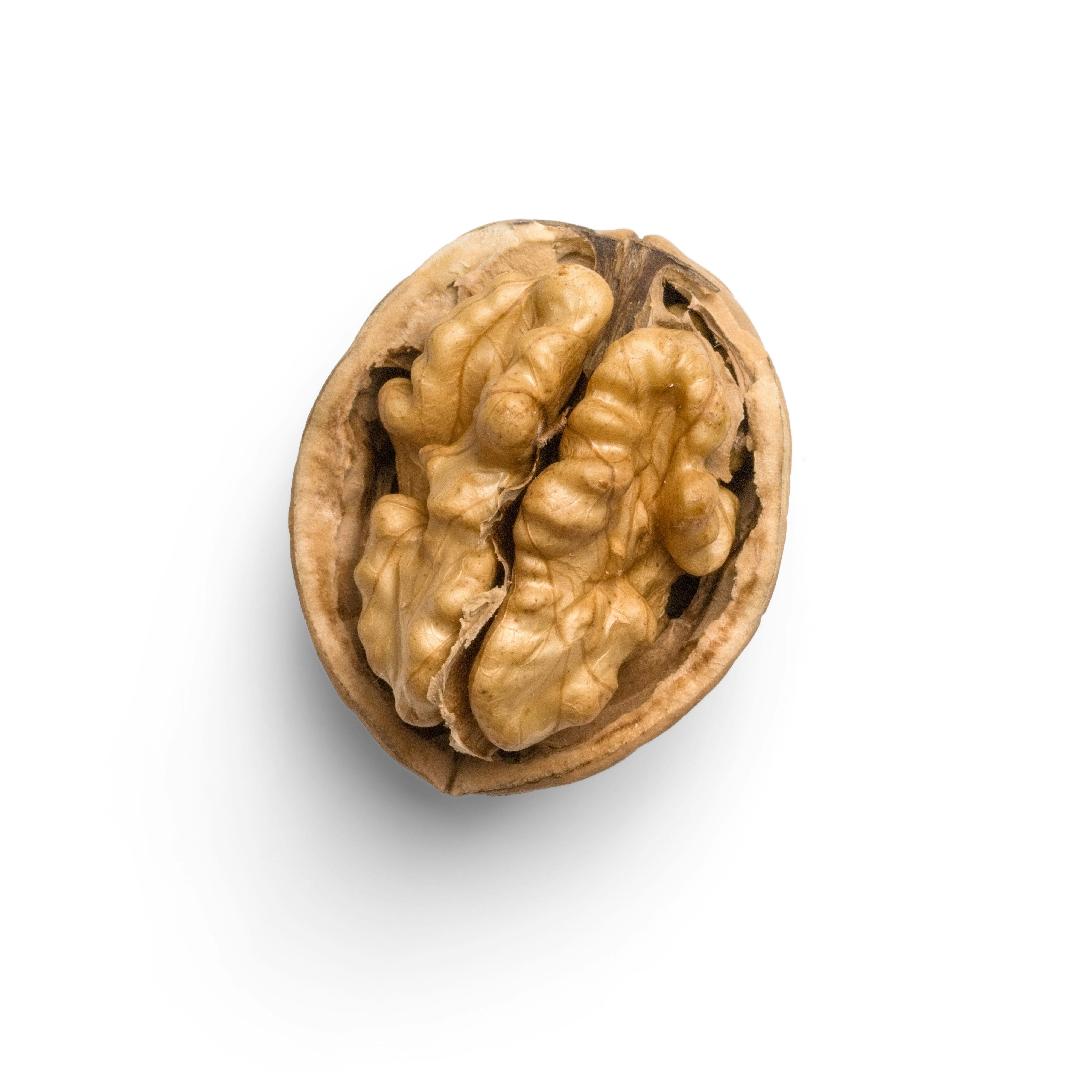 Brain Nutrition: How Diet Shapes Mental Health